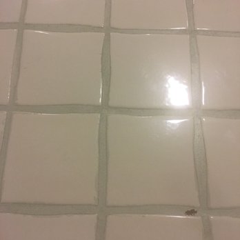The Grout Doctor - Miami - Mold coming through - Grout Services Near Me The Grout Doctor - Miami - Mold coming through - Grout Services Near Me