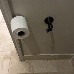 Paragon Casino Resort - How the room's toilet paper hardware was upon arrival in my room