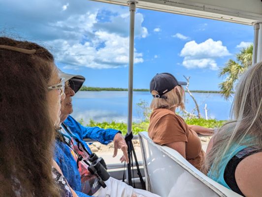 Tarpon Bay Explorers by null