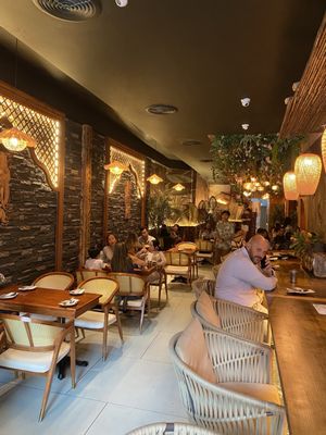 Elephant Ear by null