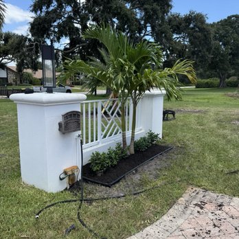 Neptune Nursery - Christmas Palm - Nurseries & Gardening Near Me - Palm City, Florida Neptune Nursery - Christmas Palm - Nurseries & Gardening Near Me - Palm City, Florida