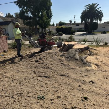 Joel Espinoza Landscape - Tree Services Near Me
