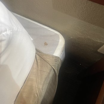 Comfort Suites Gainesville - stains on bed - Hotels Near Me - Gainesville, Texas