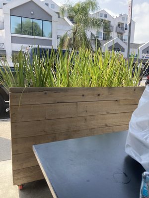 Stanley's Restaurant by null