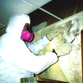 Microtech Environmental Services, Inc - Mold remediation & removal - Damage Restoration Near Me - West Babylon, New York