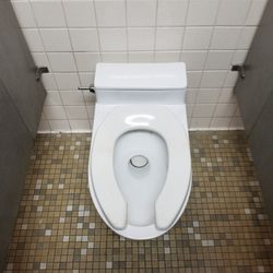 I-81 NB Rest Area - Outdated toilet