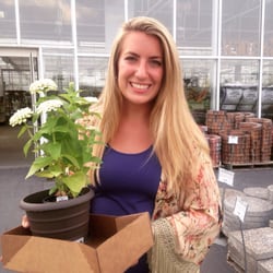 Heartland Nursery - My sister got an awesome flower for her apartment!