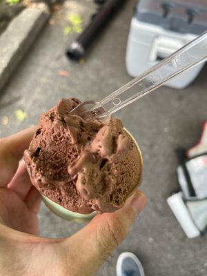 L'Albero Dei Gelati by null