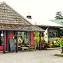 Photo of Brown's Garden & Floral