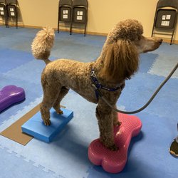 Brewer working on fitness equipment