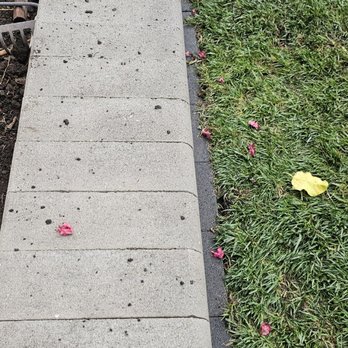 The Gardeners - One of many areas where mud was left on my 1-week-old pavers and seating wall. - Landscaping Near Me The Gardeners - One of many areas where mud was left on my 1-week-old pavers and seating wall. - Landscaping Near Me