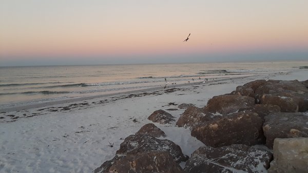 The Saint Hotel by null