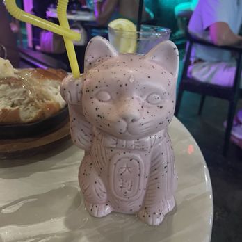 Good Fortune - Pretty kitty - Sushi Bars Near Me - St. Petersburg, Florida Good Fortune - Pretty kitty - Sushi Bars Near Me - St. Petersburg, Florida