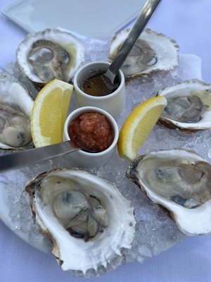 The Frisky Oyster by null