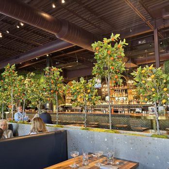 The Cage in Huntingdon Valley