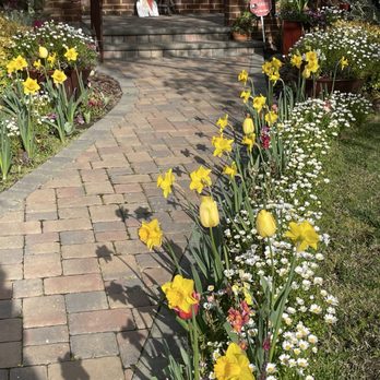 Custom Plantings - Spring flowers - Landscaping Near Me