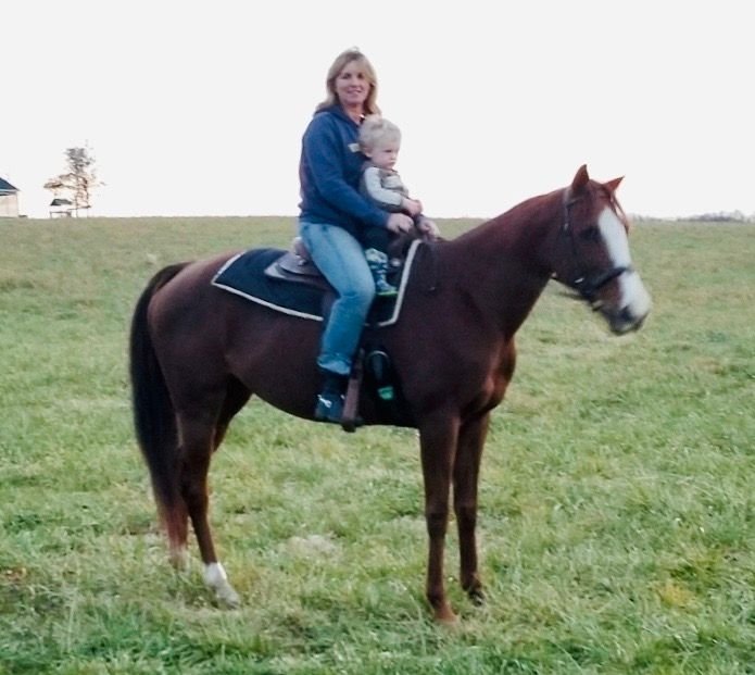 TOP LINE STABLES 1849 Swan Rd, Atglen, Pennsylvania Horse Boarding