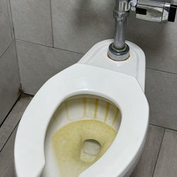 Exxon - This is the womans rr when was the last time this was cleaned  Ridiculous