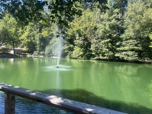 Norwood Gardens by null