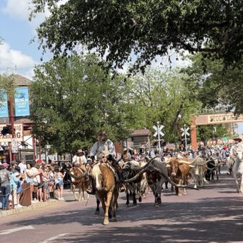 The Stockyards - Stockyards in Fort Worth, Texas - April 2026 - Local Flavor Near Me - Fort Worth, Texas The Stockyards - Stockyards in Fort Worth, Texas - April 2026 - Local Flavor Near Me - Fort Worth, Texas