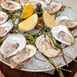 Casa Teresa - Dozen oysters