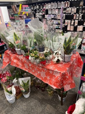 CVS PHARMACY - Updated December 2025 - 22 Photos & 44 Reviews - 839 ...