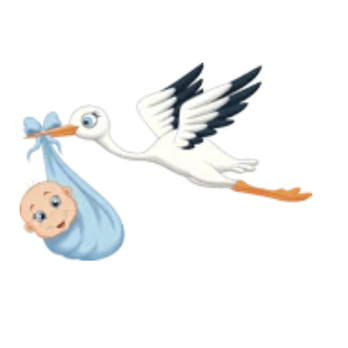 Paresh G Mehta, MD FACOG - Obstetricians & Gynecologists Near Me - Warren, Ohio Paresh G Mehta, MD FACOG - Obstetricians & Gynecologists Near Me - Warren, Ohio