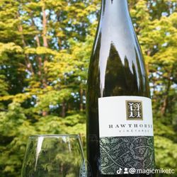 Movie Stars Wine Tours