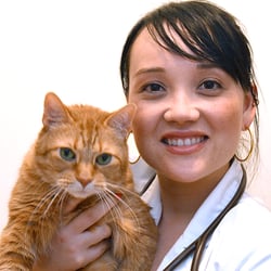 Ravenswood Animal Hospital LLC