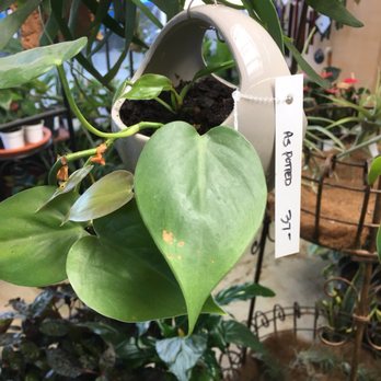 East Bay Nursery - Nurseries & Gardening Near Me - Berkeley, California