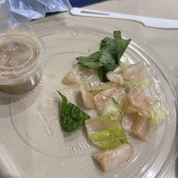 Old lettuce. Old lettuce.