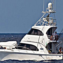 Mooloolaba Fishing Charters - Marlin Fishing Charters Fishing Hotline 0438 348 007