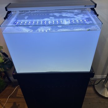 Happy Fish Pets - Aqua Japan 30 just set up for salt - Aquarium Services Near Me - Brea, California