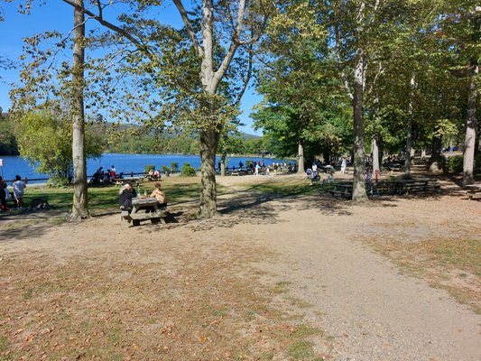 Bear Mountain by null