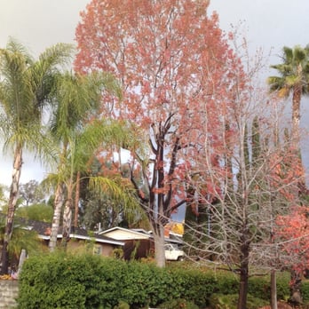 J & M Tree Service - Tree Services Near Me J & M Tree Service - Tree Services Near Me