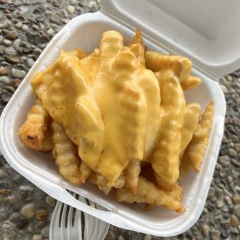 Big Burger V - Cheese fries - Burgers Near Me - Houston, Texas