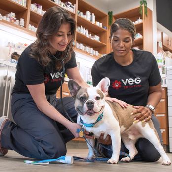 VEG ER for Pets - VEG vet assistants with bulldog - Emergency Pet Hospital Near Me - Cary, North Carolina VEG ER for Pets - VEG vet assistants with bulldog - Emergency Pet Hospital Near Me - Cary, North Carolina
