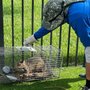Photo of Atlantic Pest Control