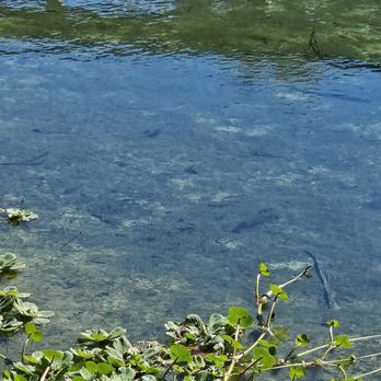 Gemini Springs Park - Parks Near Me - Debary, Florida