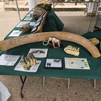 Waco Mammoth National Monument - Museums Near Me - Waco, Texas Waco Mammoth National Monument - Museums Near Me - Waco, Texas
