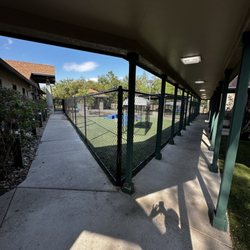 Elite Fence And Outdoor - 6' Black Chain Link @ Dog Day Care