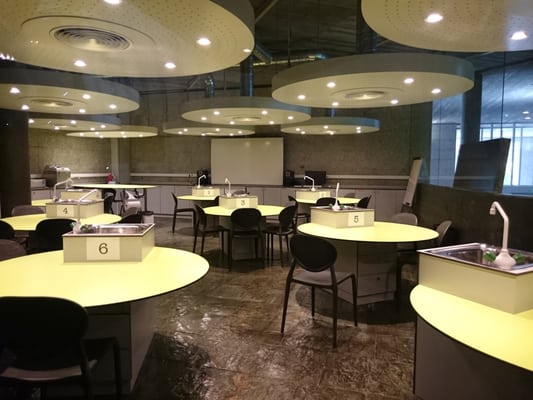 Domus by null