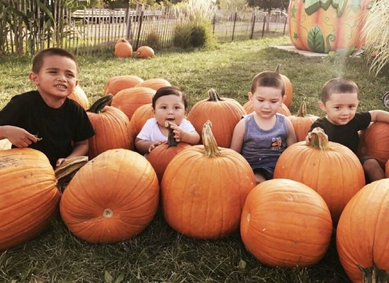 Bengtson's Pumpkin Farm and Fall Fest by null