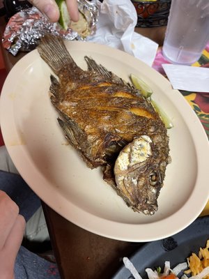 Taqueria El Patron by null