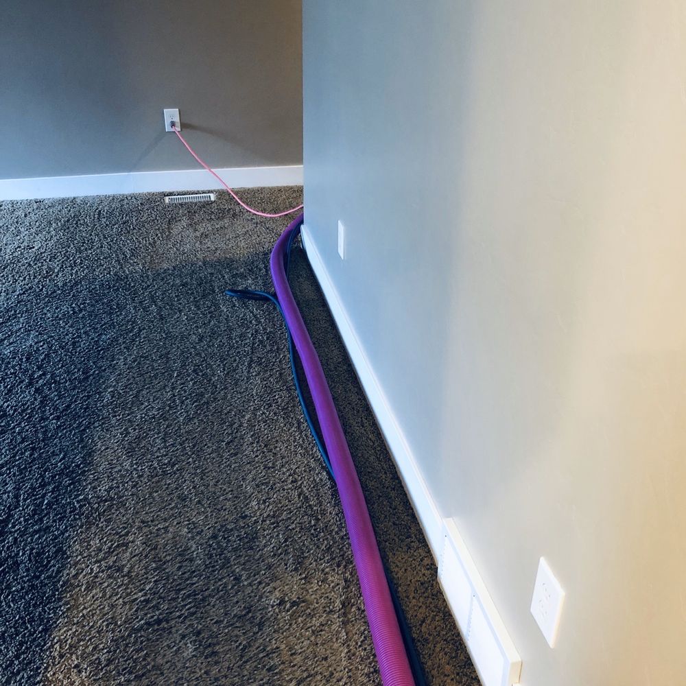 Pink's Carpet Cleaning - Pink carpet cleaning - Carpet Cleaning Near Me - Lehi, Utah Pink's Carpet Cleaning - Pink carpet cleaning - Carpet Cleaning Near Me - Lehi, Utah