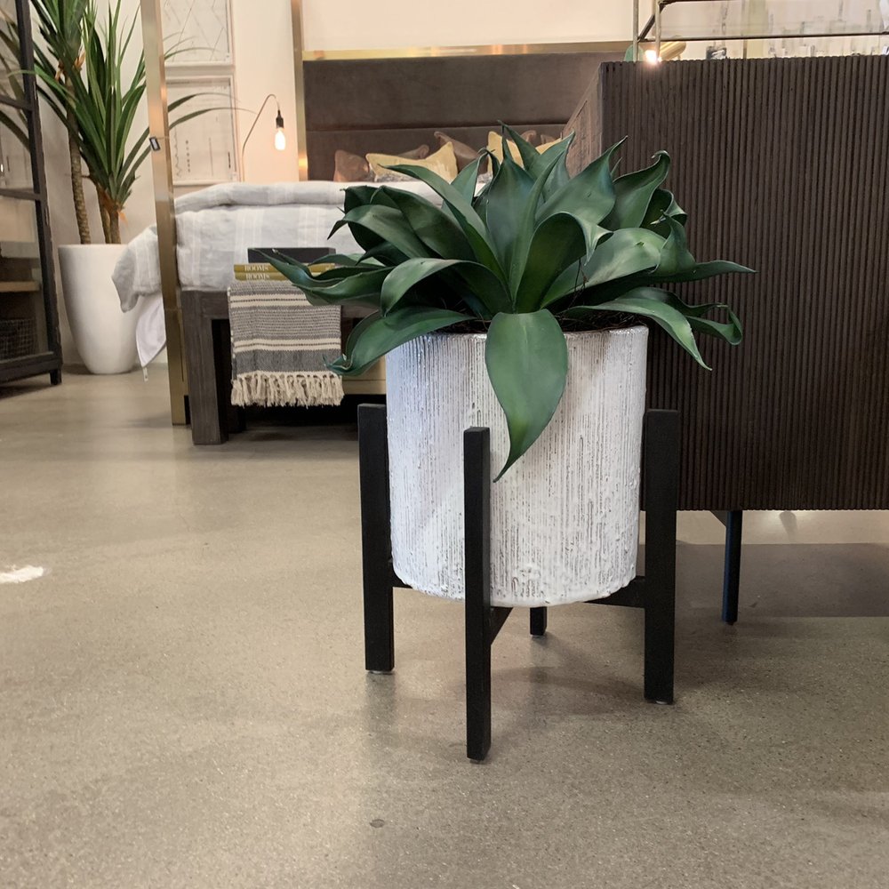 Found Home & Design - Planter and plant - Lighting Stores Near Me - Mesa, Arizona
