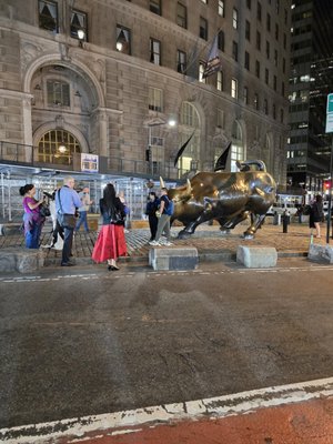 Charging Bull by null