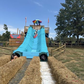 Cox Farms - Attraction Farms Near Me - Centreville, Virginia Cox Farms - Attraction Farms Near Me - Centreville, Virginia