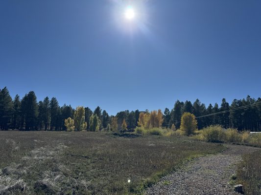 The Arboretum at Flagstaff by null
