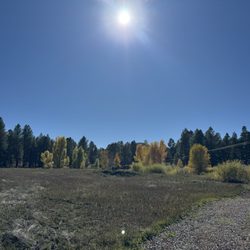 The Arboretum at Flagstaff